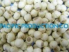 VIETNAM LOTUS SEED 
